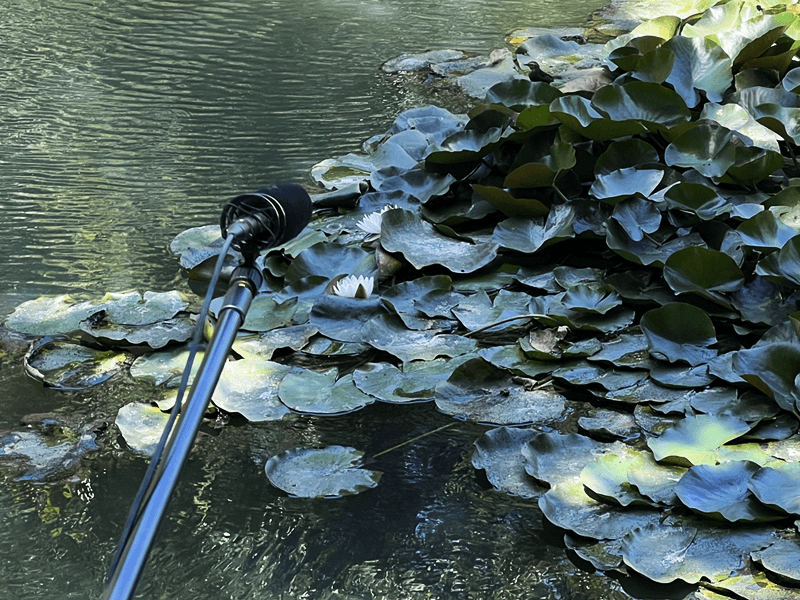 Ecosistemas Naturales